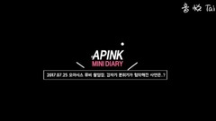 Apink - Apink Mini Diary