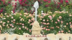 音乐短片 - 艳阳天