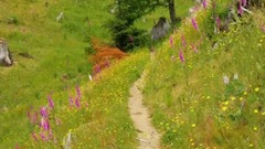 风景,音乐短片,轻音乐,乐动城市 - 美国华盛顿州圣海伦火山自然风光