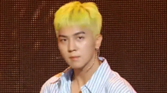 Winner - ISLAND