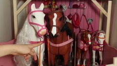 音乐短片 - American Girl Doll House Tour