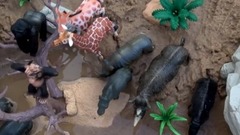 音乐短片 - Safari Wild Animals In The Sand Box Watering Hole