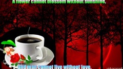 音乐短片 - GOOD MORNING video -Whatsapp