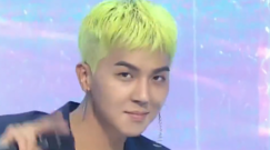 Winner - ISLAND