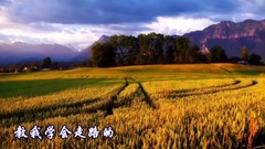 音乐短片 - 妈妈的手