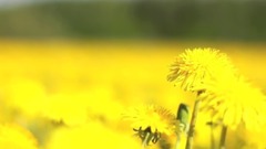 音乐短片 - Дыхание