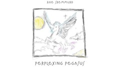 Perplexing Pegasus