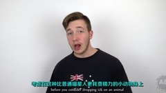 音乐短片 - 5大因杂交而出现的奇特动物