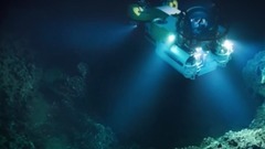 音乐短片 - 5种神秘又无法解释的海洋生物