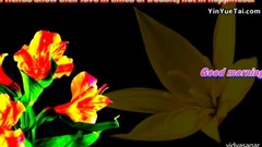 音乐短片 - Yaari Hi Imaan meri ..GOOD MORNING messaging video -Whatsapp