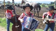 音乐短片 - Que sube y que baja Los Ba ales Juniors DESDE EL RANCHO