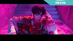 太妍(少女时代),韩国群星,DAY6,本月少女,The Rose - 10首你可能会喜欢的糊歌