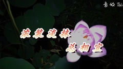 音乐短片 - 浓装淡抹总相宜