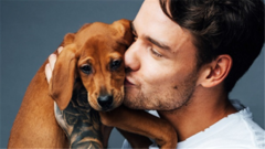 Liam Payne - 爱狗达人,Liam Payne最新拍摄杂志写真花絮!