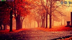 音乐短片 - 三生三世