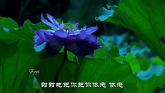 音乐短片,舞蹈视频 - 天竺少女
