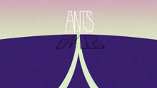  - ANTS - Don't Fight