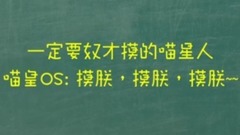萌宠 - 主子的威严!喵星人一定要奴才不停的抚摸特辑
