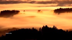 New - Sunrise