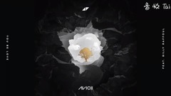 Avicii - 鸽子王A神AVICII回归EP