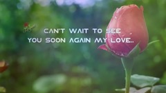 音乐短片 - For My Special Someone - I miss you my love