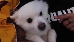 Amber(f(x)) - Mom!