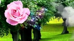 音乐短片 - GOOD MORNING Video