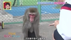 AKB48,SKE48 - SKE48 むすびのイチバン! EP16