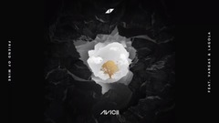 Avicii - Friend Of Mine