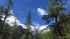 音乐短片 - 梦牵