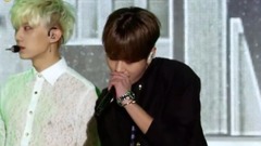 BEAST - Shadow