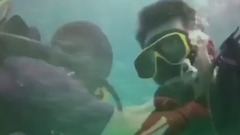 音乐短片 - 泰国小皇帝岛