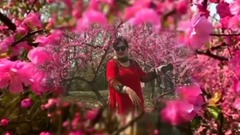 音乐短片 - 女人花