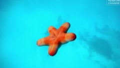 音乐短片 - Elian West Just To You Original Mix