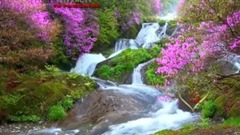 风景,音乐短片 - 莎拉布莱曼STRANGER IN PARADISESTRANGER IN PARADISE