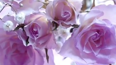 音乐短片 - 大提琴、陶笛《蓝色的梦》