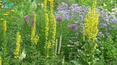 音乐短片 - 一个人的时光