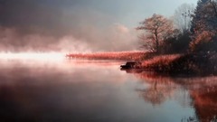 音乐短片 - 自然流动