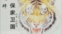 动漫专属 - 保家卫国
