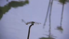 林海 - 静美纯音系列【存在】林海音乐作品欣赏