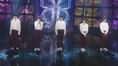BEAST - Butterfly & Ribbon