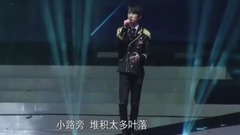 TFBOYS,王俊凯,王源,易烊千玺 - 样Yong