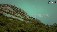 原创 - 亲亲海思羽
