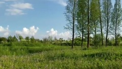 音乐短片 - 旅行日记