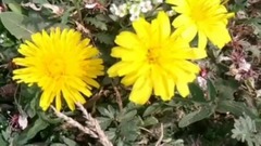 音乐短片 - 刚好遇见你