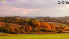 音乐短片 - 寂静的天空