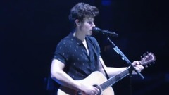 Shawn Mendes - Stitches