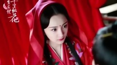 杨幂 - 三生三世十里桃花 杨幂17款造型,最美不是嫁衣