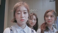 Favorite - Favority #12 (Wink Party)