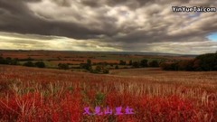 音乐短片 - 又见山里红